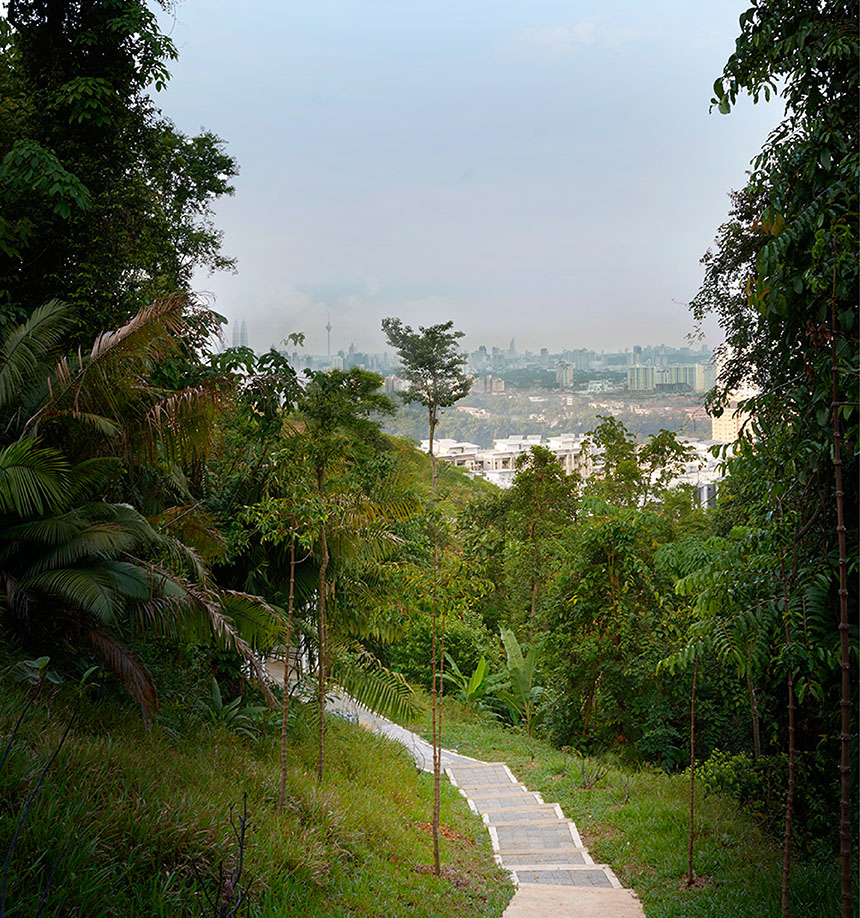Walk the jungle trail and surround yourself with lush greenery
